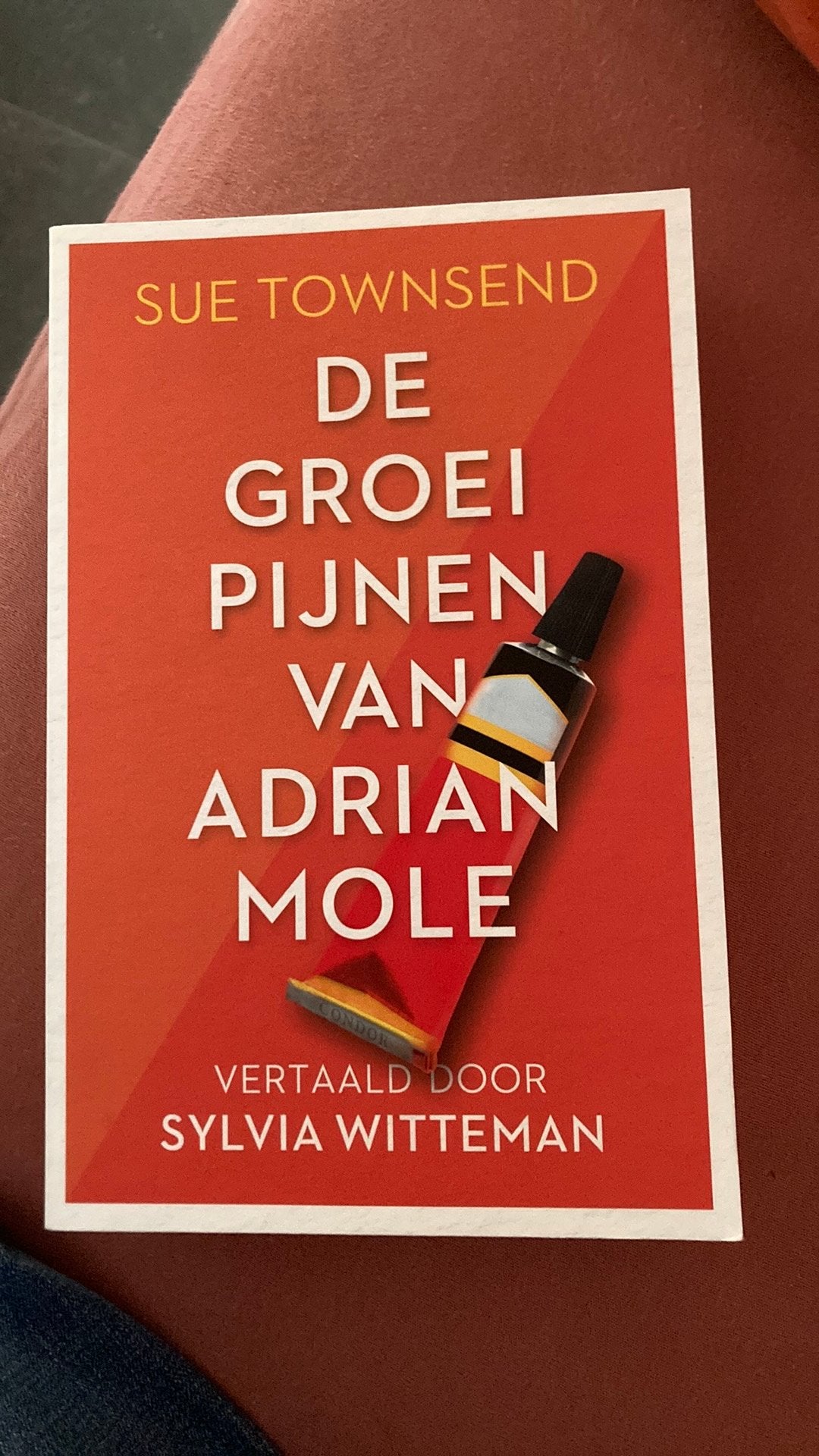 Sue Townsend - De groeipijnen van Adrian Mole, Ophalen of Verzenden, Zo goed als nieuw, Sue Townsend