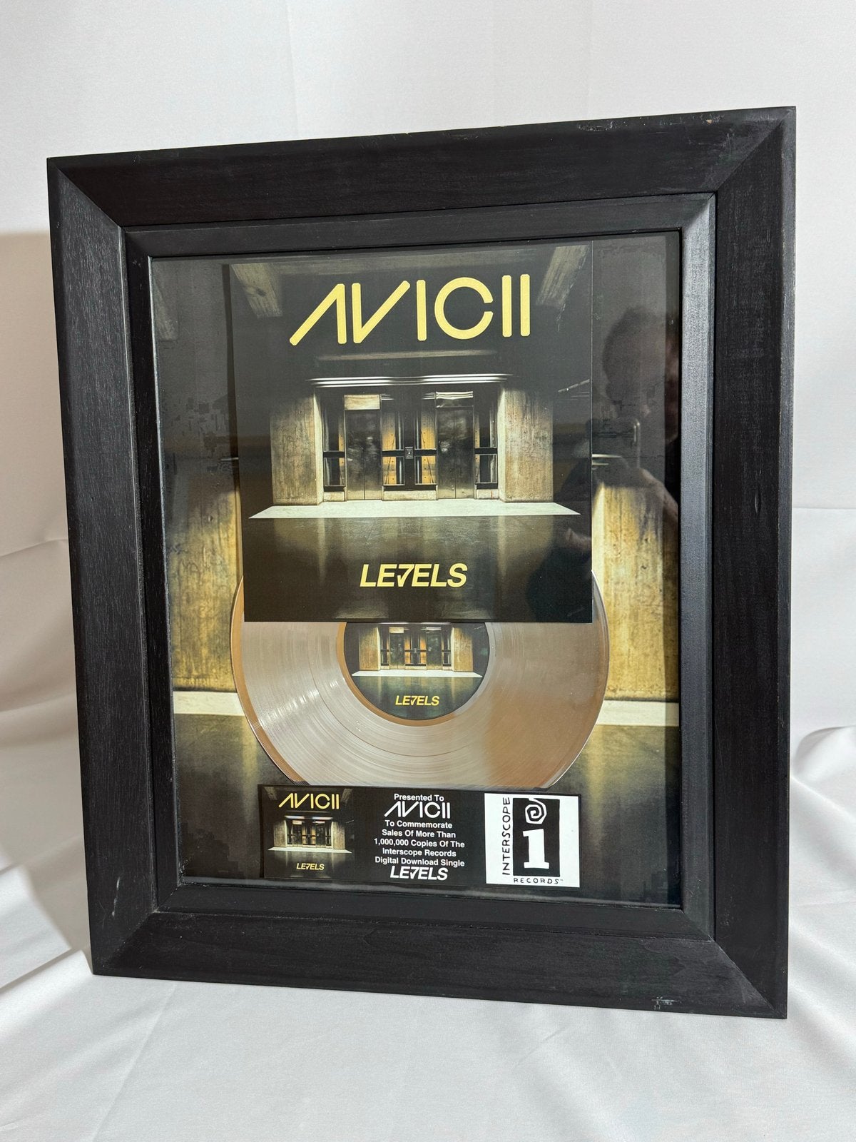 Avicii Levels Platinum Plaat Ingelijst, Cd's en Dvd's, Ophalen of Verzenden, Zo goed als nieuw, Single, Speciale editie