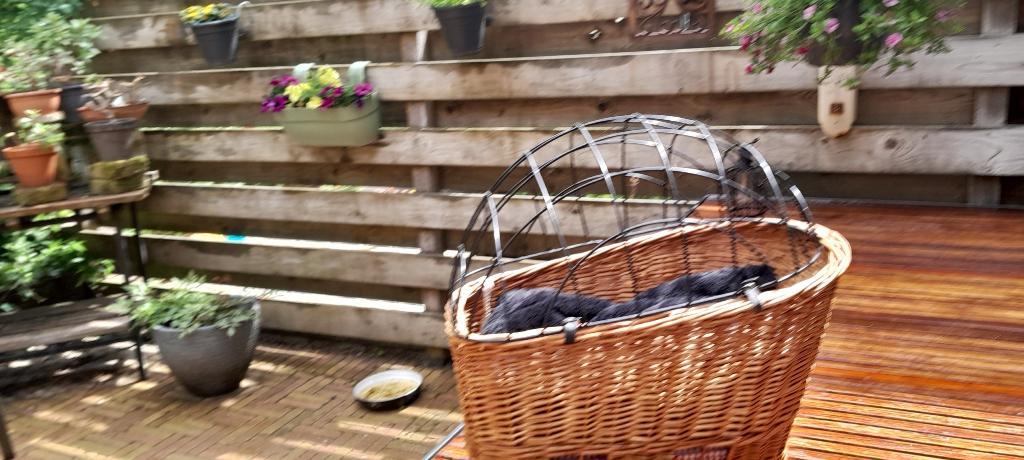 hondefietsmand Basil met korf, Dieren en Toebehoren, Hondenmanden, Ophalen, Zo goed als nieuw, Overige