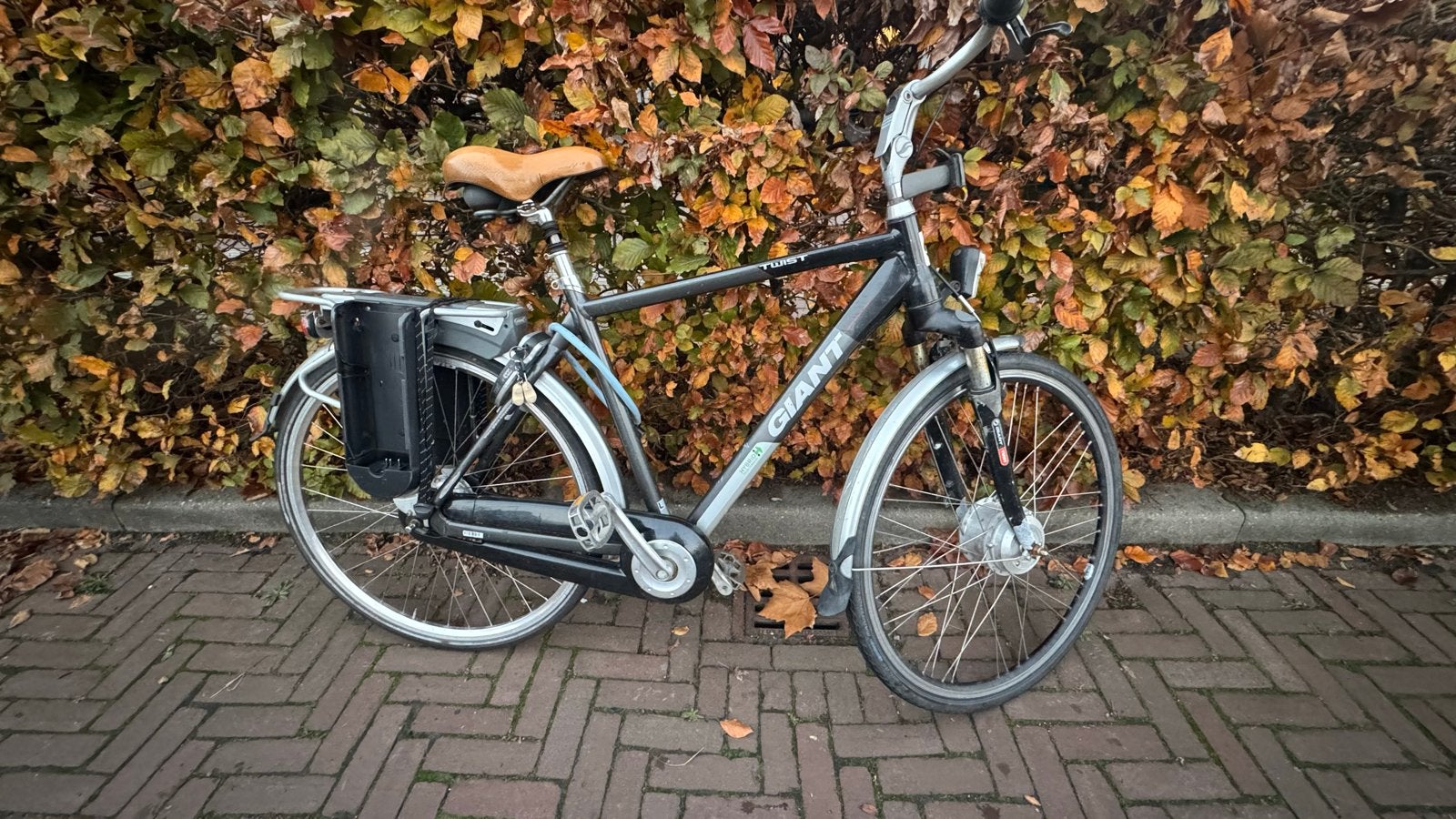 Giant Twist Go E-bike (zonder accu, motor defect), Minder dan 30 km per accu, Gebruikt, 59 cm of meer, Giant
