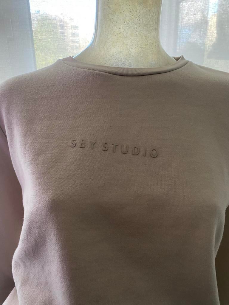 Stijlvolle SEY STUDIO Sweater - maat M/L, Ophalen of Verzenden, Zo goed als nieuw, Maat 38/40 (M), Beige