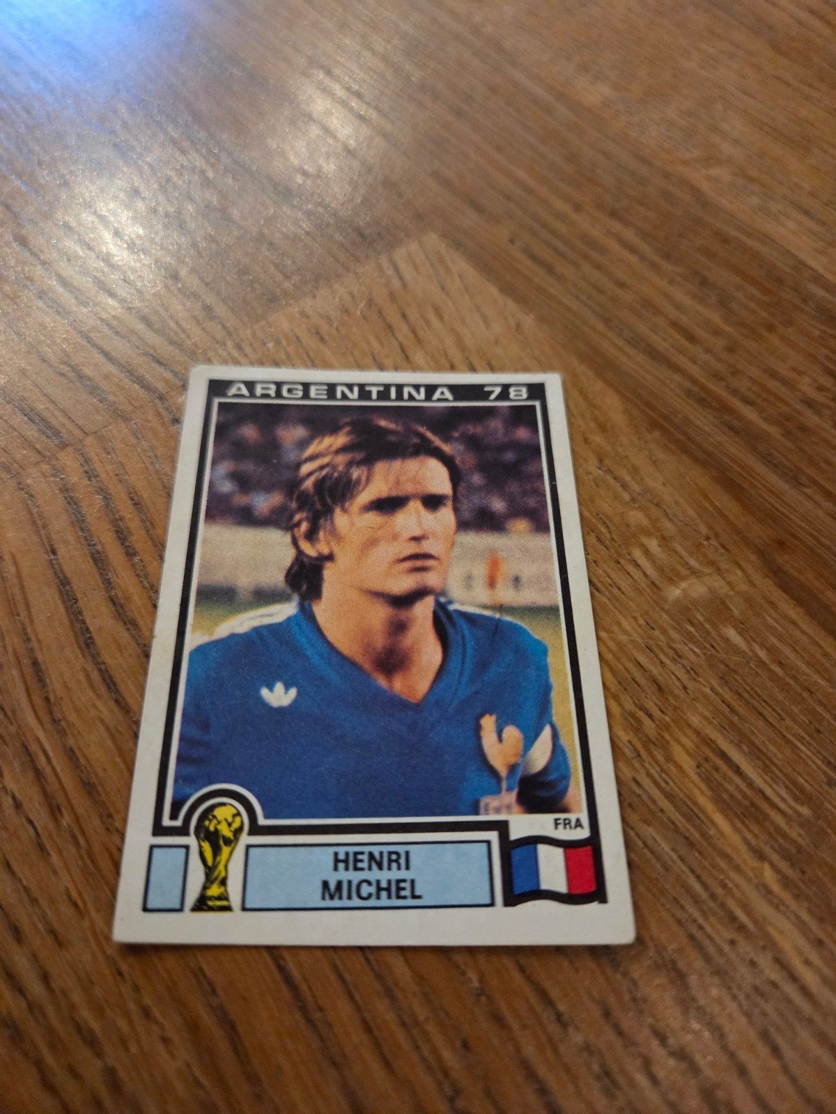 Panini WK 78, Ophalen of Verzenden, Zo goed als nieuw, Buitenlandse clubs, Poster, Plaatje of Sticker