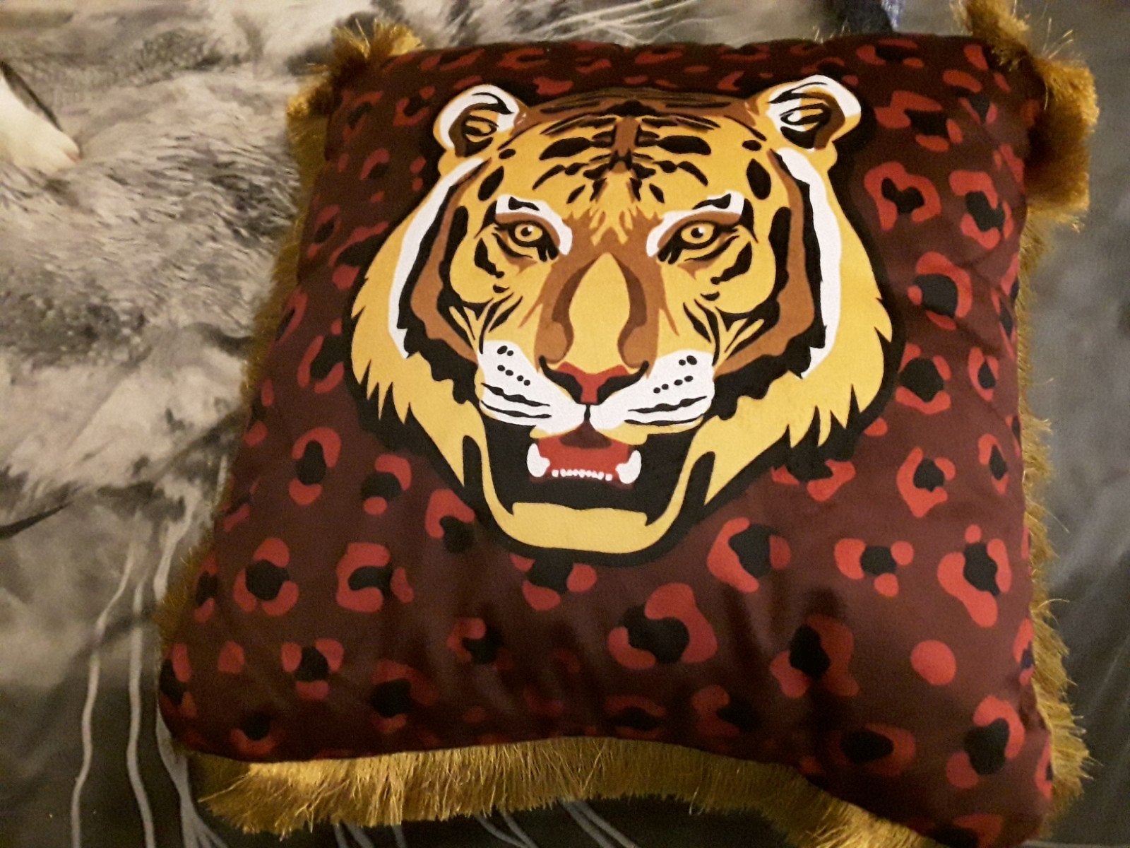 Te koop, twee prachtige en nieuwe sierkussens., Ophalen, Nieuw, Vierkant