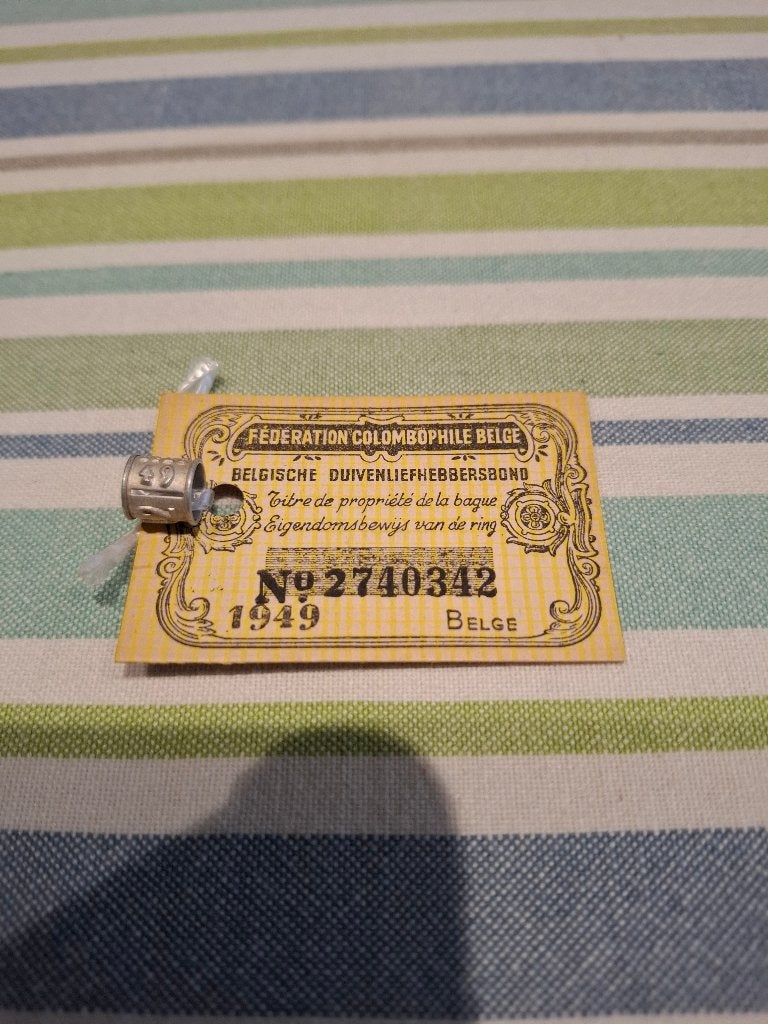Ring 1949 belg, Mannelijk