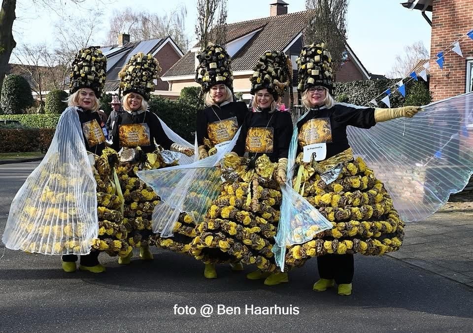 Dames loopgroep, Carnaval, Kleding, Gedragen, Ophalen