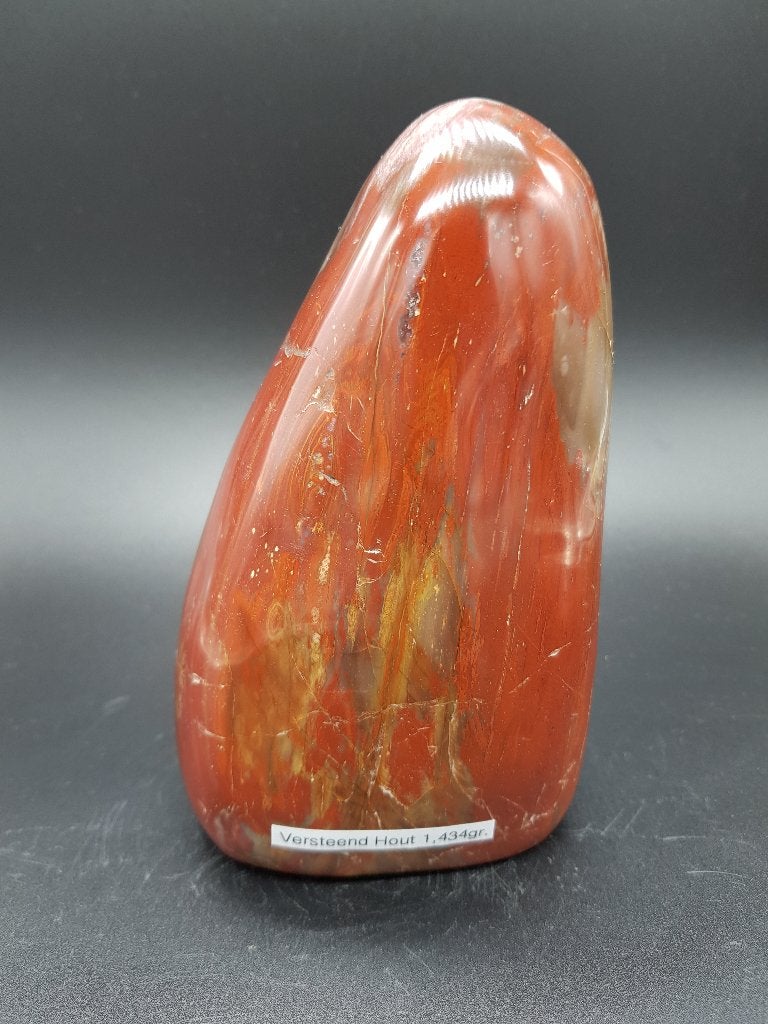 Versteend hout (nr. 1), Ophalen of Verzenden, Fossiel
