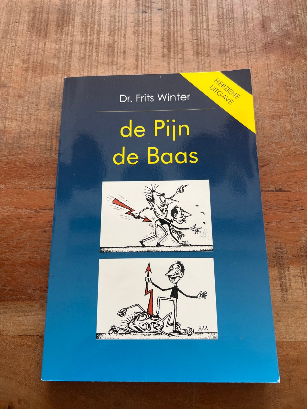 De Pijn de Baas - Dr. Frits Winter (Herziene Uitgave), Boeken, Ophalen of Verzenden, Zo goed als nieuw, Gezondheid en Conditie