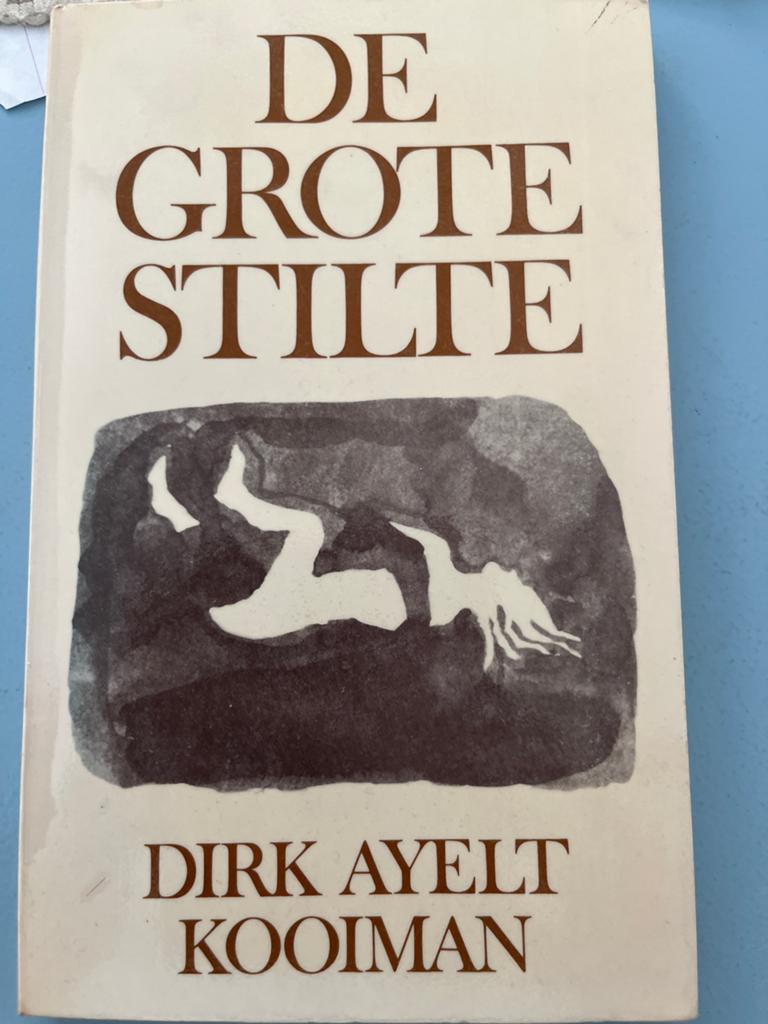 De Grote Stilte - Dirk Ayelt Kooiman (Boek), Ophalen of Verzenden, Gelezen, Nederland