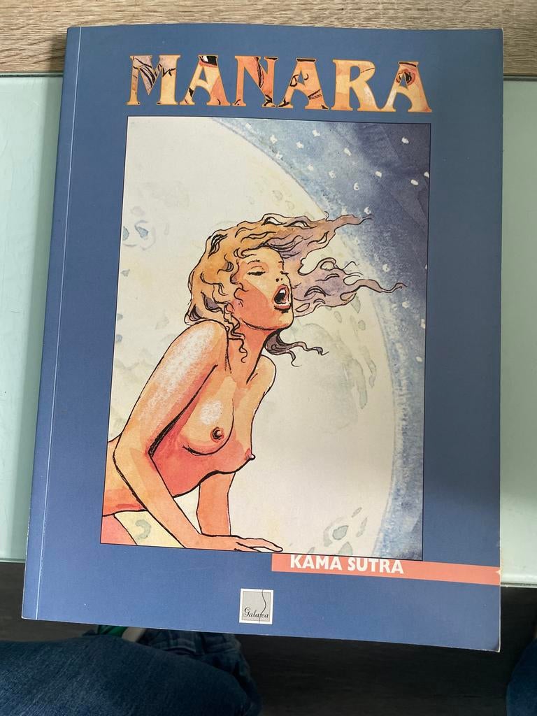 Manara - Kama Sutra Stripboek - Zo goed als nieuw, Eén stripboek, Ophalen of Verzenden, Zo goed als nieuw