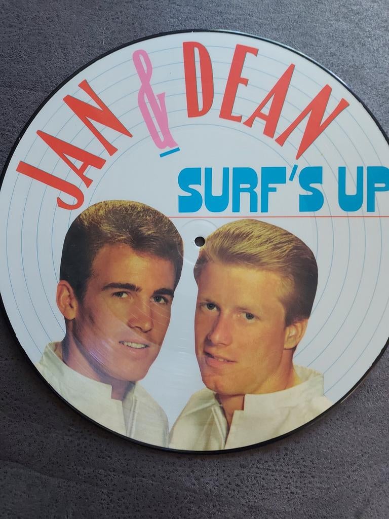 Jan & Dean LP Surf's Up Picture Disc, Picture disc, Ophalen of Verzenden, Zo goed als nieuw, 12 inch