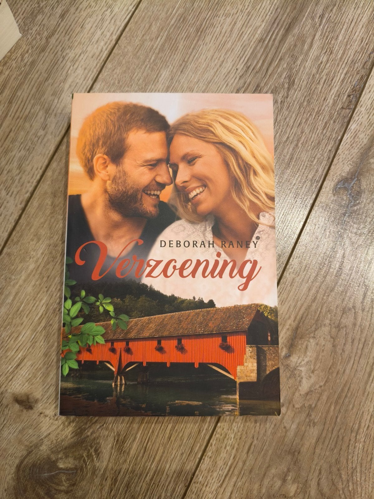 Verzoening - Deborah Raney (Roman), Ophalen of Verzenden, Zo goed als nieuw, Deborah Raney, Nederland