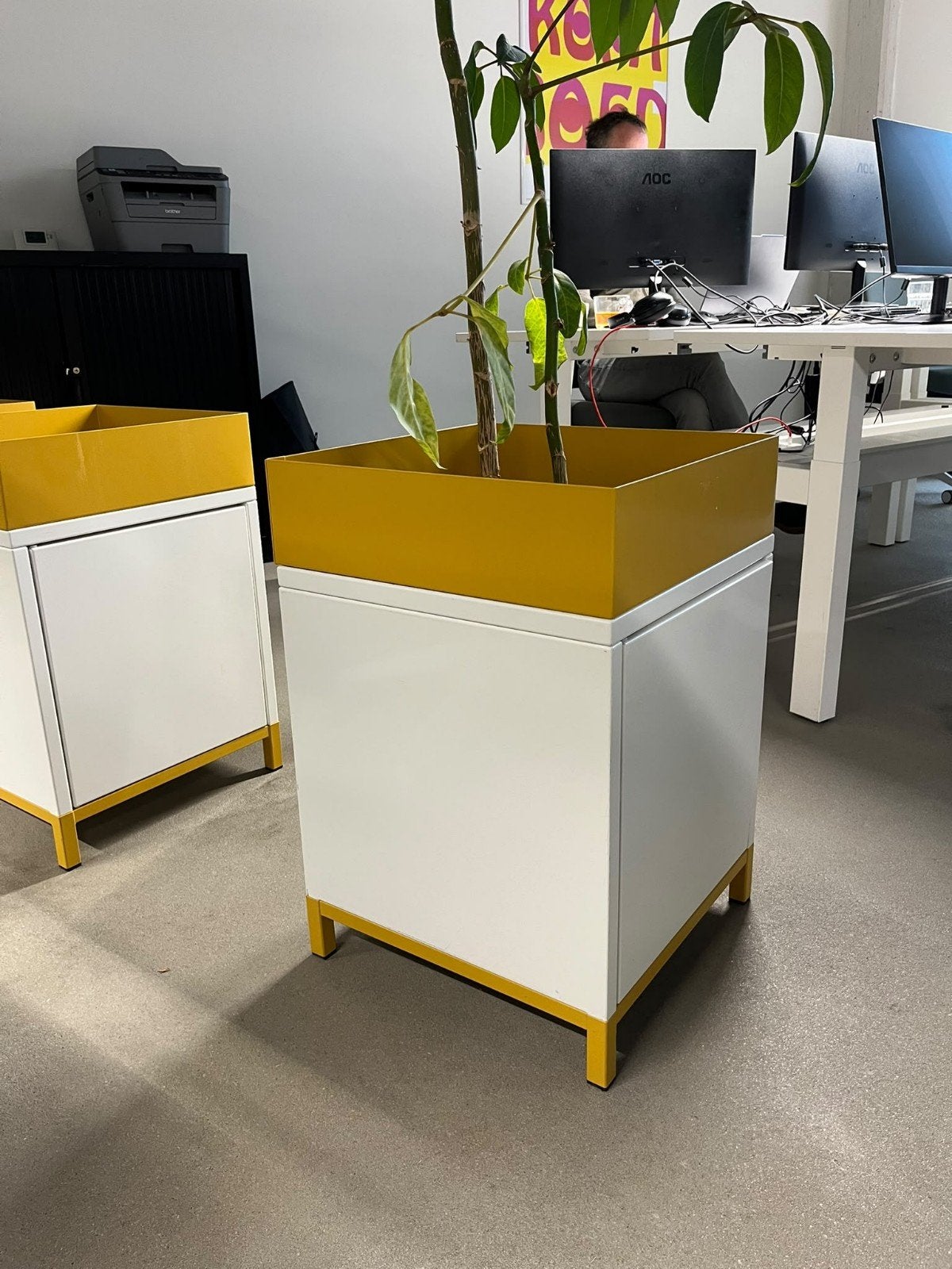 Vepa Plantenbakken 8 stuks pedestal/caddy, Aankleding binnen, Ophalen, Gebruikt, Inrichting