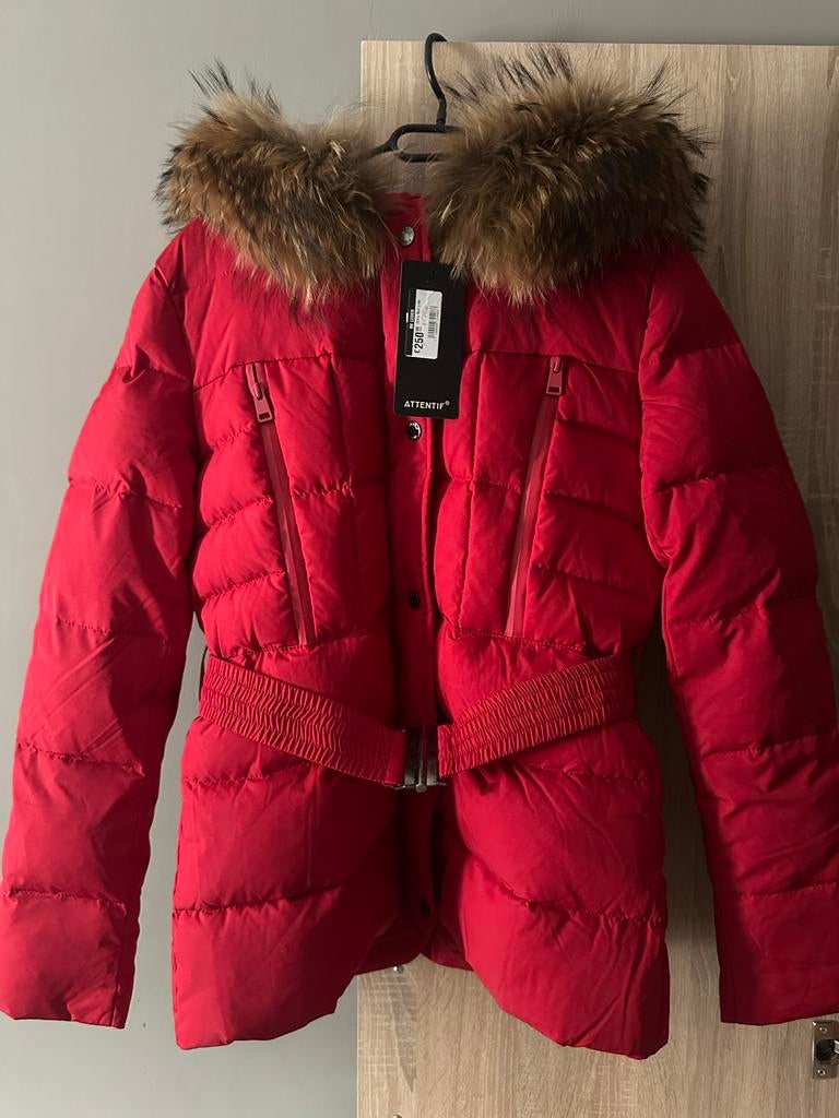 Nieuw Attentif dames jas maat 38, Kleding | Dames, Jassen | Winter, Ophalen of Verzenden, Zo goed als nieuw, Maat 38/40 (M), Rood