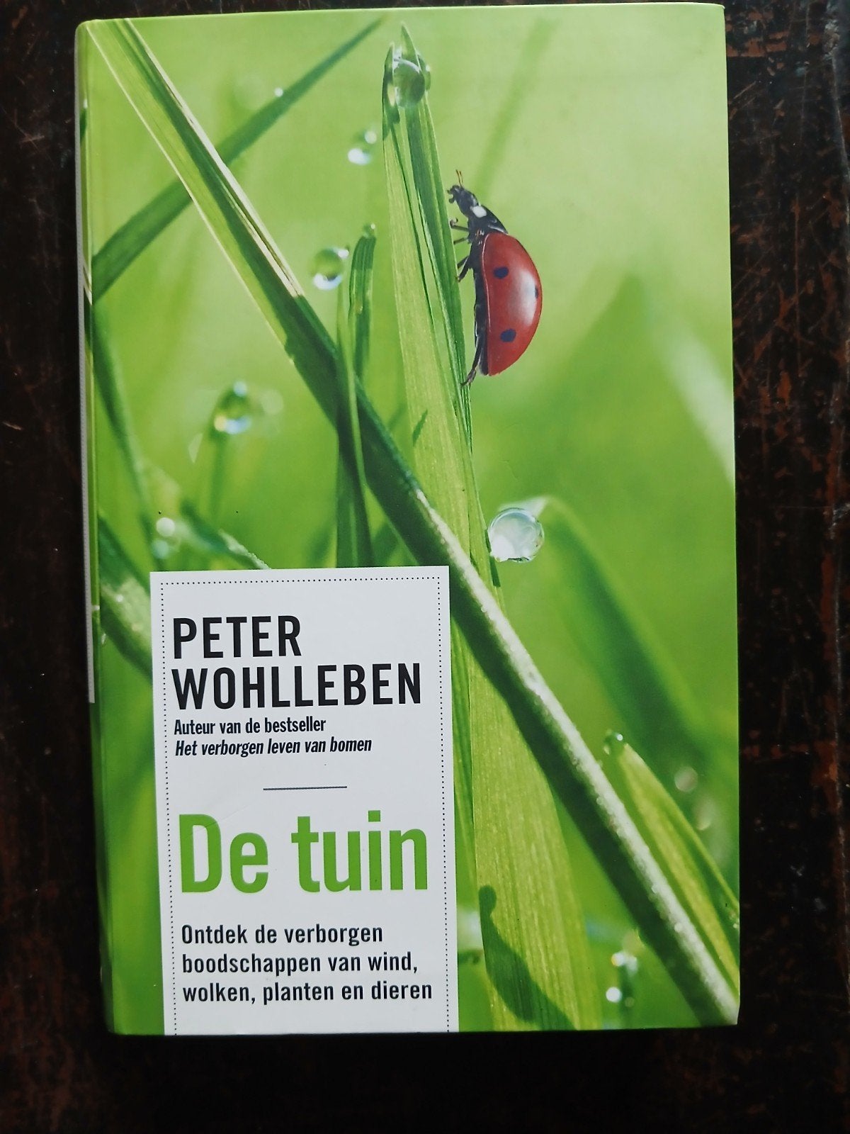 De tuin - Peter Wohlleben (als nieuw), Boeken, Ophalen of Verzenden, Zo goed als nieuw, Peter Wohlleben, Tuinieren en Tuinplanten
