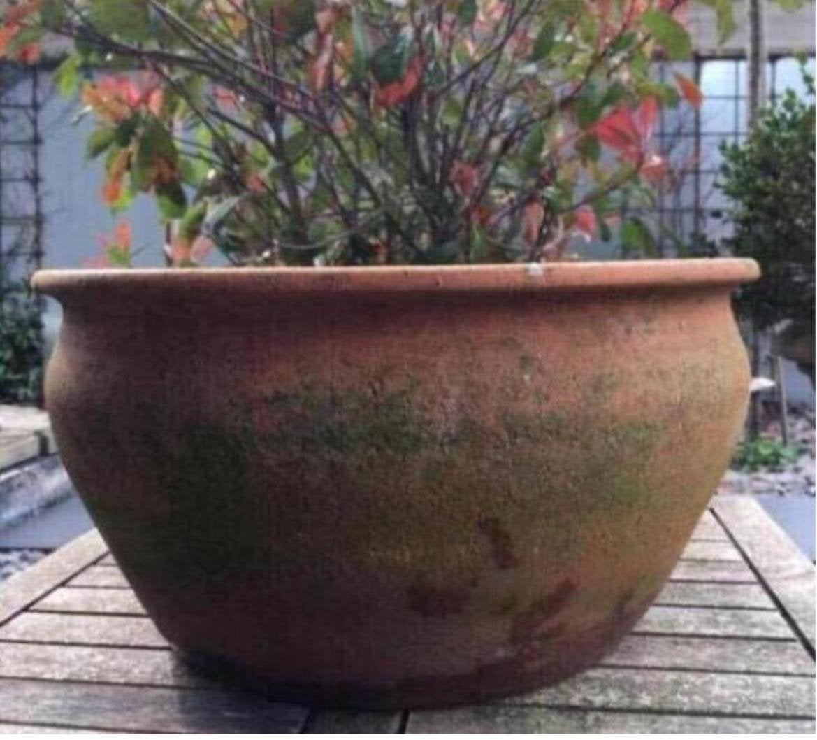 Prachtige Antieke Terracotta Bloempot 36cm - Oud Hollands, Gebruikt, Rond, Binnen, Minder dan 40 cm