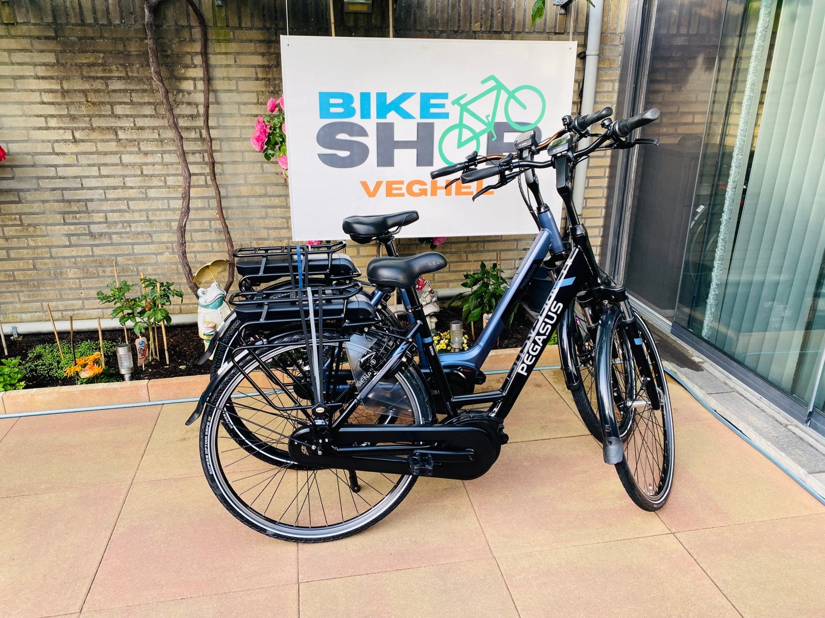 Elektrische Pegasus Bosch Middenmoto Active LinePlus.D55.D53