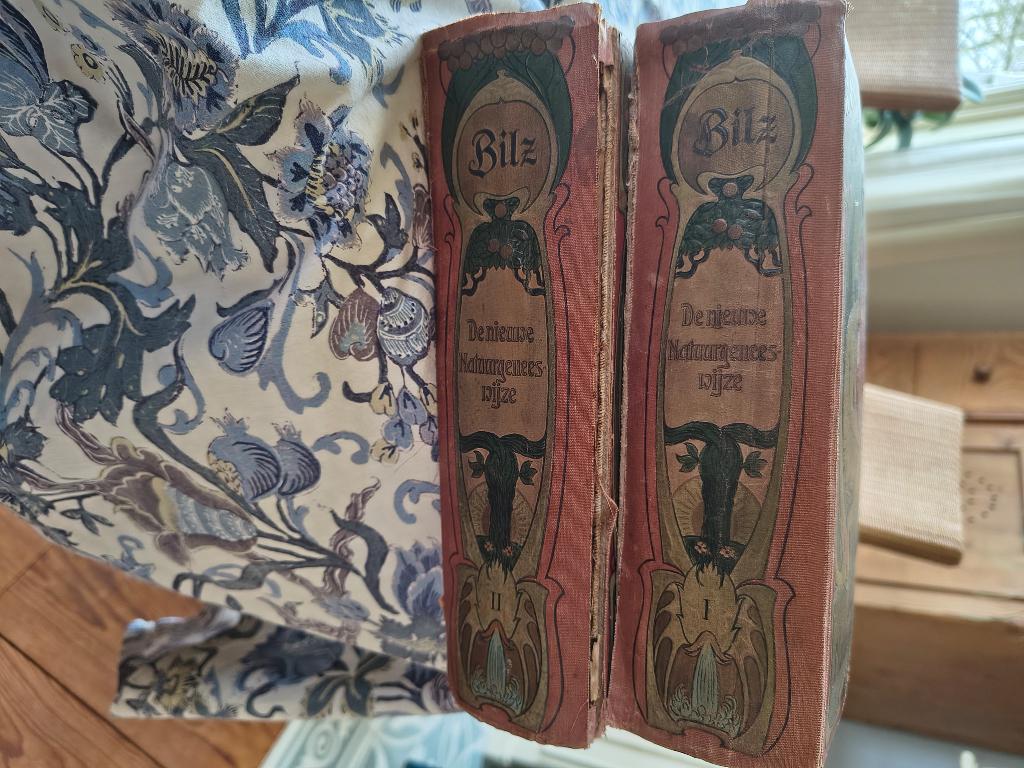 Blitz, Ophalen, Gelezen