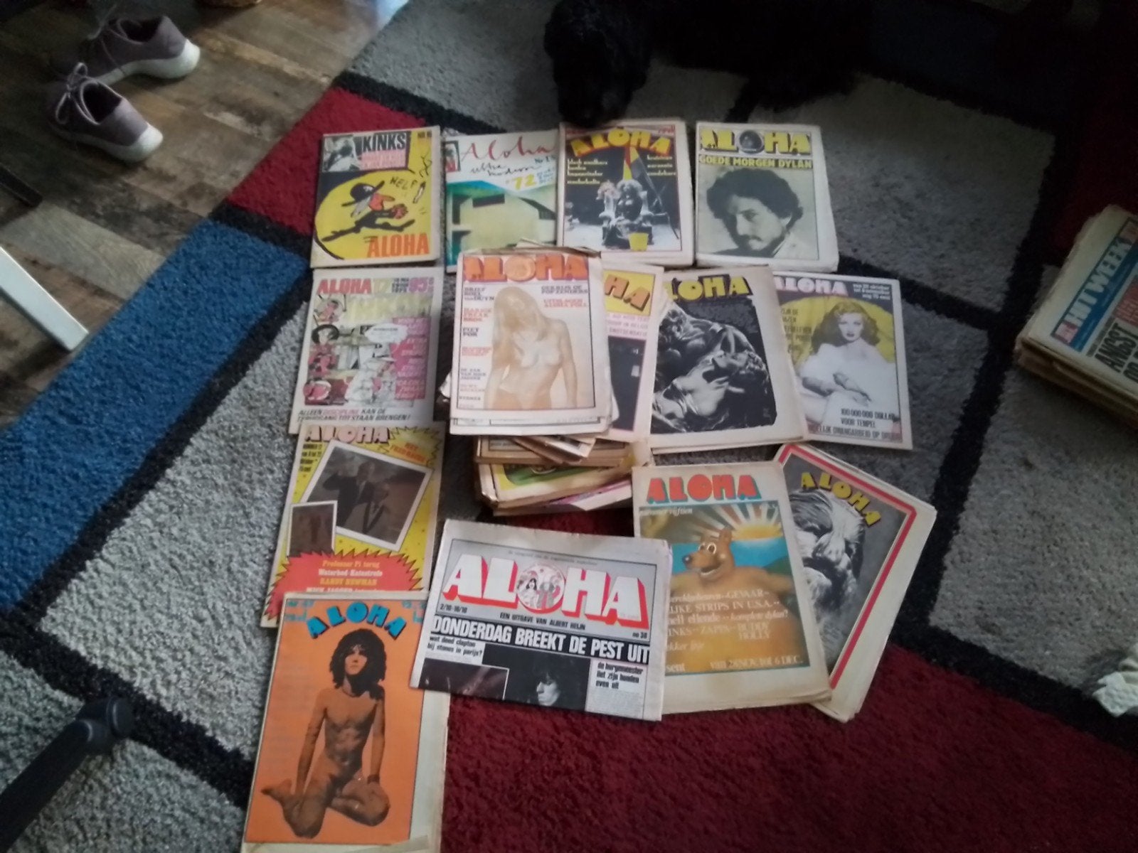 hitweek en aloha's, Ophalen of Verzenden, Gelezen