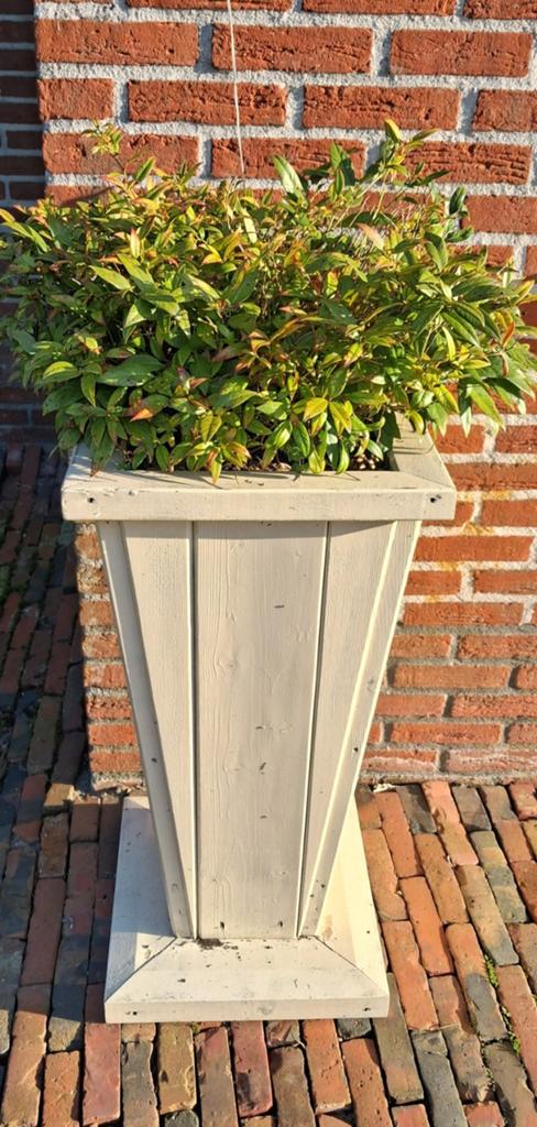 Mooie plantenbakken, Tuin en Terras, Bloembakken en Plantenbakken, Ophalen, Rechthoekig, Hout