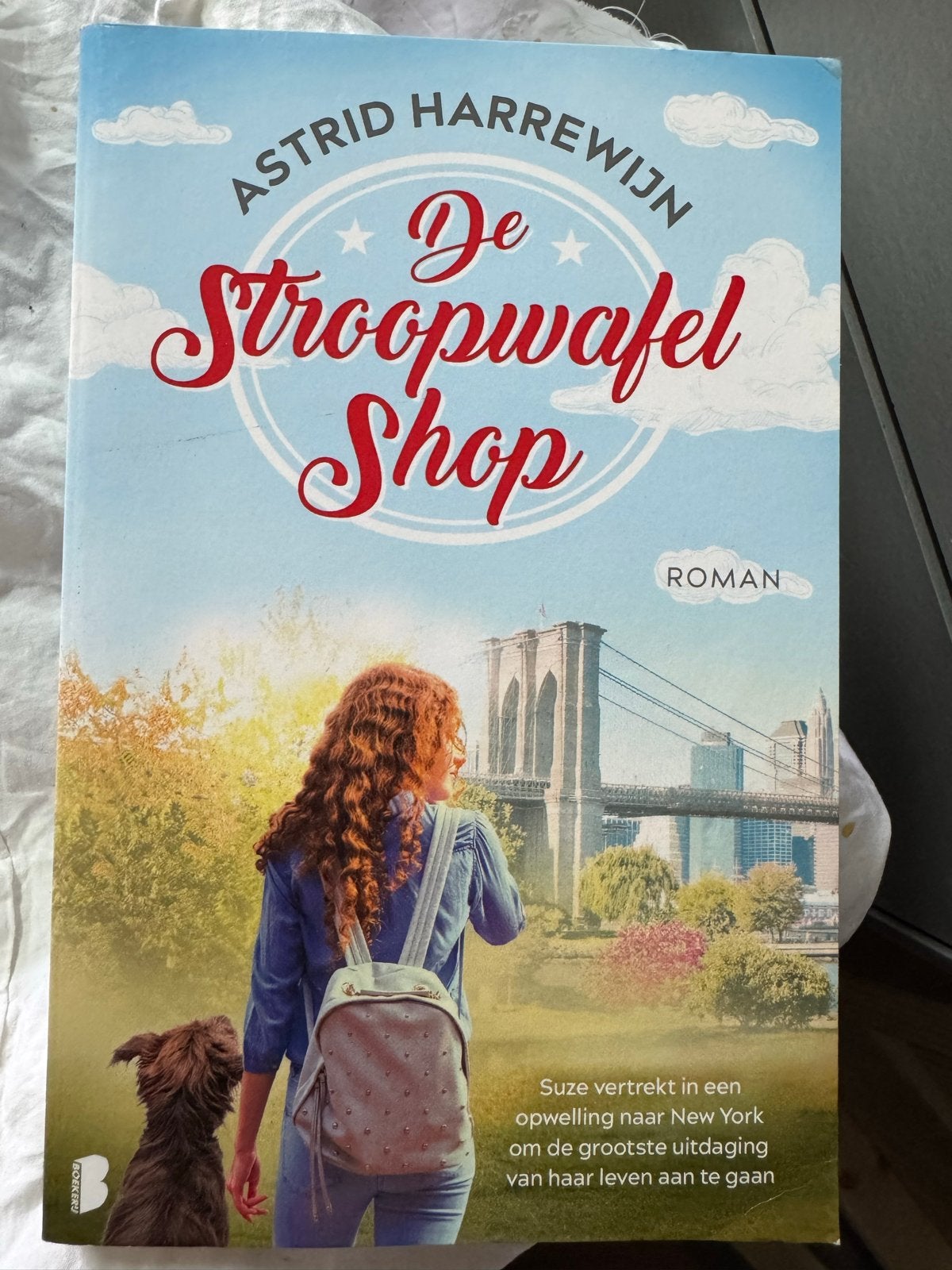 De Stroopwafel Shop - Astrid Harrewijn Roman, Boeken, Ophalen of Verzenden, Zo goed als nieuw, Nederland