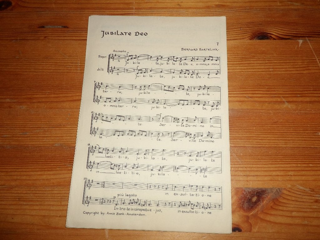Bernard bartelink - jubilate deo, Gebruikt, Ophalen of Verzenden, Religie en Gospel, Artiest of Componist