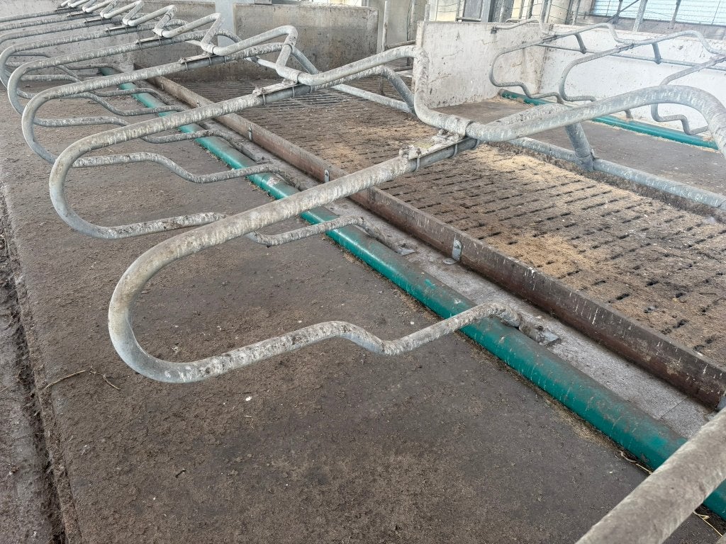 20 stuks comfort ligbox | 200 cm | melkvee stalinrichting, Januari, Mannelijk