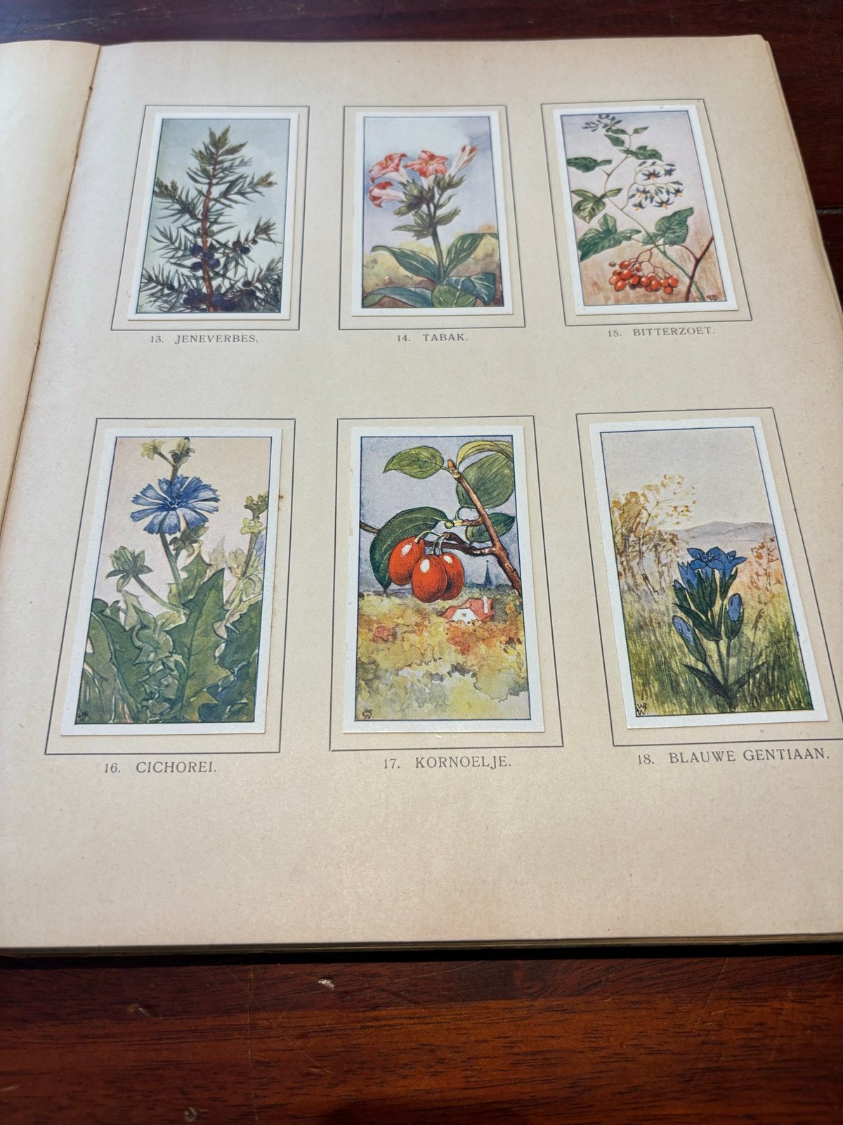 Herfst door Jac. P. Thijsse - Geïllustreerd Natuurboek, Boeken, Ophalen of Verzenden, Gelezen, Natuur algemeen
