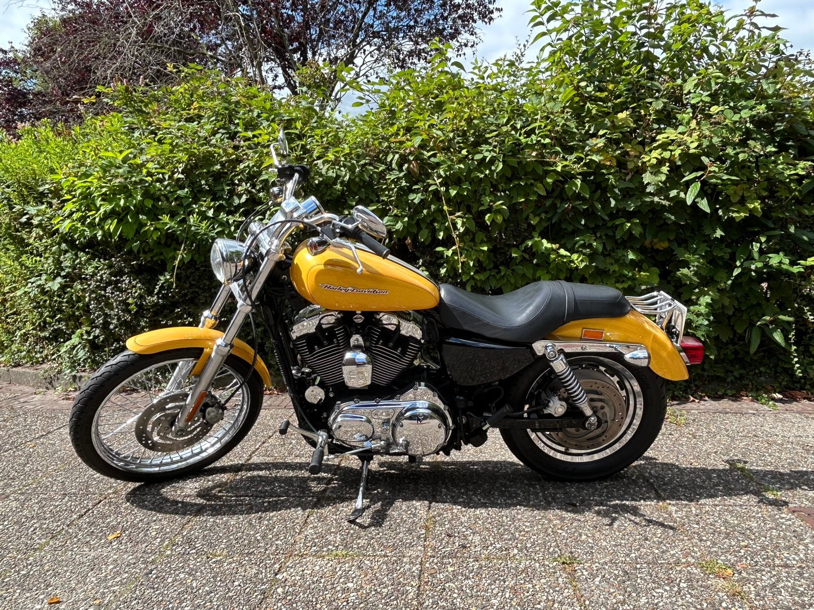 Sportster 1200 (NL) schadevrij laatste jaar met carburateur., 2 cilinders, Sportuitlaat, Occasion, 1202 cc
