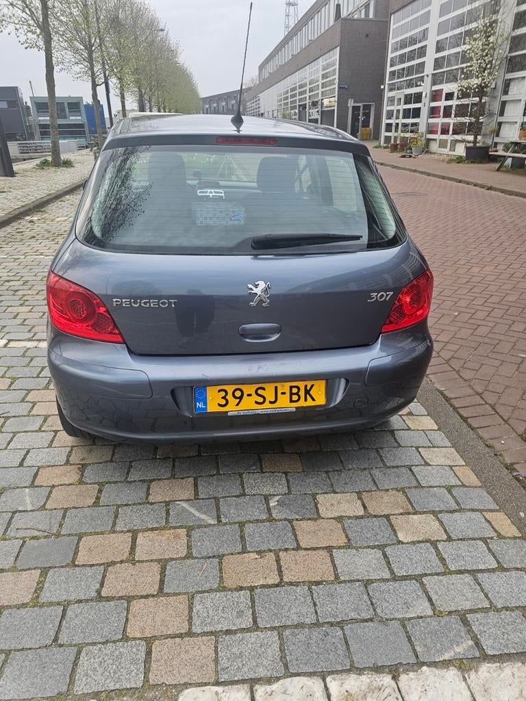 Peugeot 307 1.6 16V 5DR 2006 Grijs, Voorwielaandrijving, 4 cilinders, 635 kg, 1200 kg