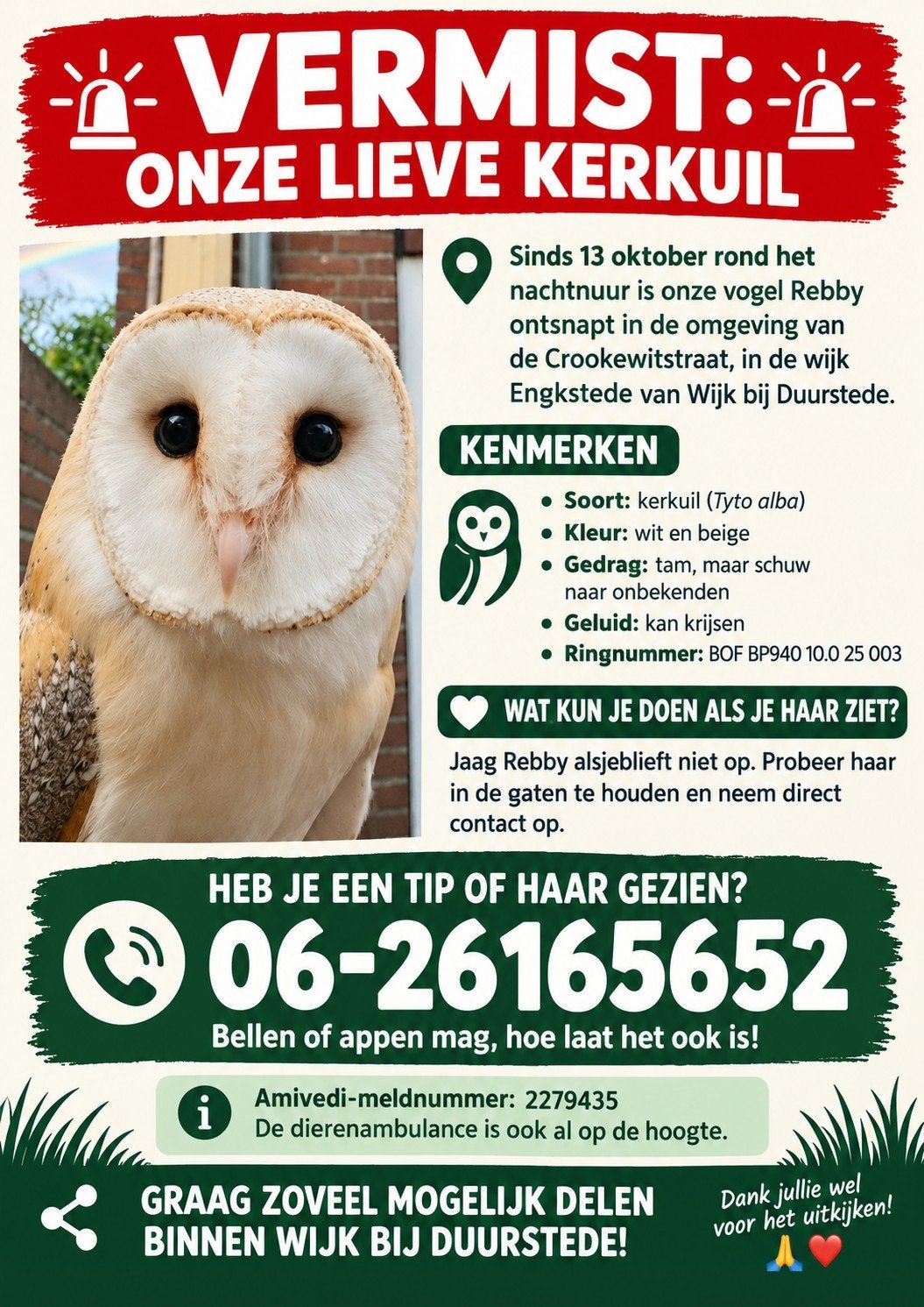 kerkuil vermist, Vrouwelijk, Roofvogel