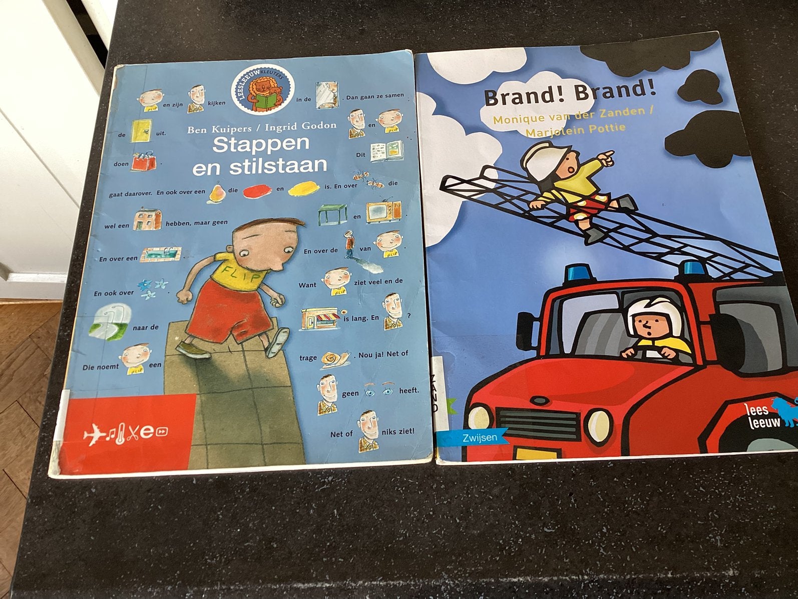 Monique van der Zanden - Brand! Brand!, Fictie algemeen, Monique van der Zanden, Ophalen of Verzenden, Zo goed als nieuw