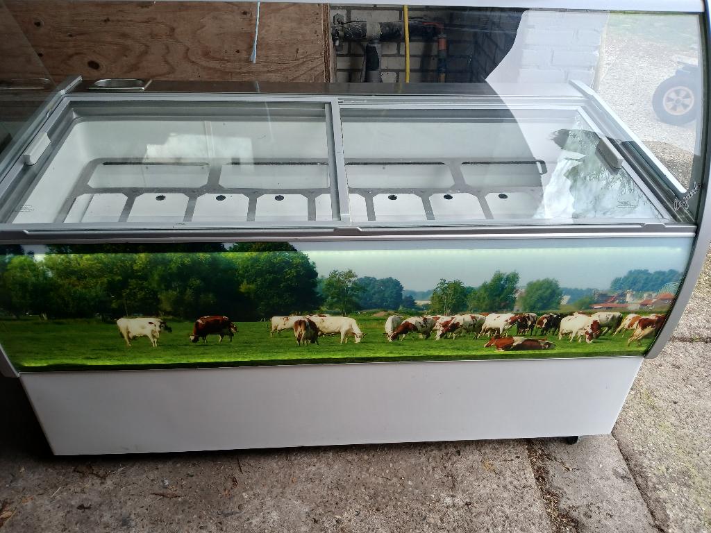 schepijs vitrine 2x, Ophalen, Gebruikt, Zelfvriezend