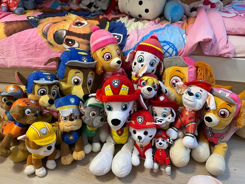 Paw patrol, Ophalen of Verzenden, Zo goed als nieuw, Hond