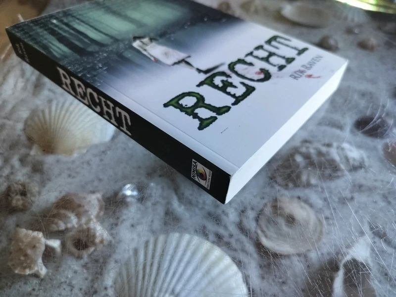 Rik Raven - Recht, Ophalen of Verzenden, Zo goed als nieuw, Rik Raven