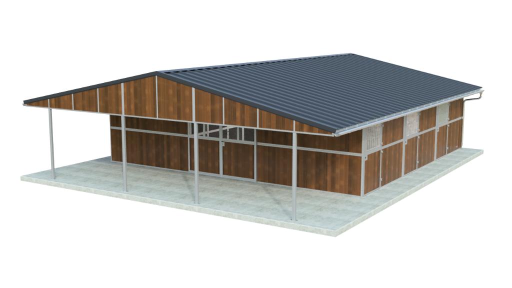 Buitenstal met 5 paardenboxen, opslagruimte en overkapping, Weidegang, 4 paarden of pony's of meer