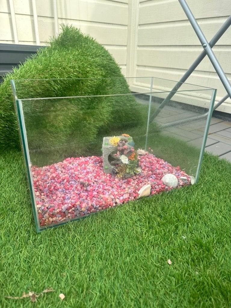 Aquarium 54L 60x30x30 cm compleet met decoratie, Ophalen, Gebruikt, Gevuld zoetwateraquarium