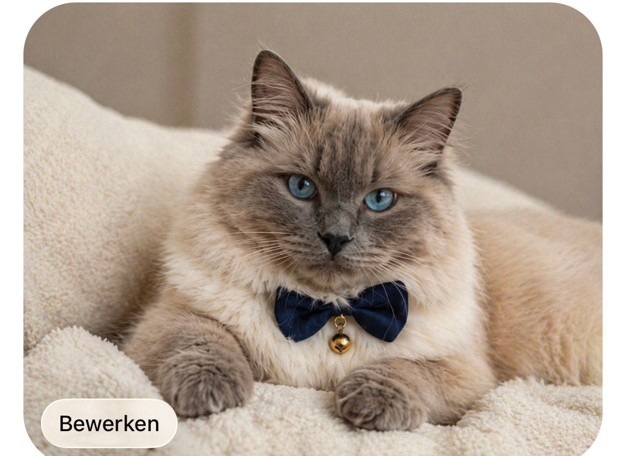 Dekkater, Dieren en Toebehoren