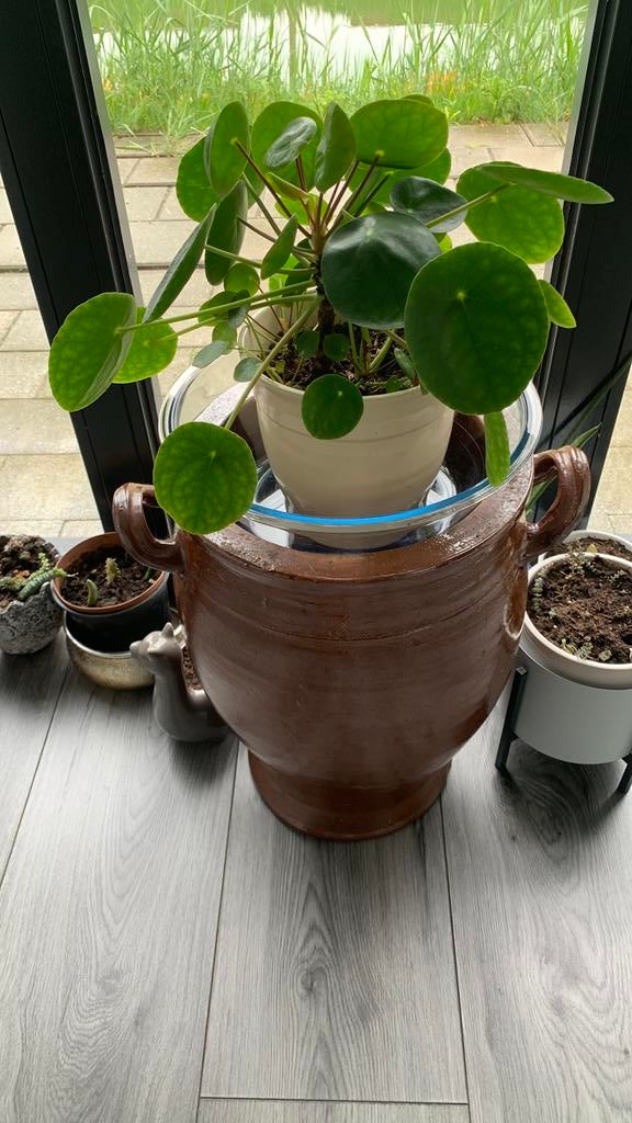 Kaulse pot (30,46 cm) €50, Ophalen, Kunststof, Rond, Zo goed als nieuw