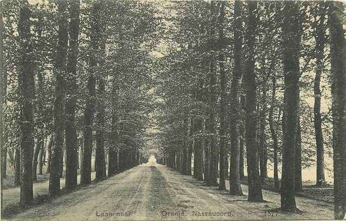 301-228-007 Nederland Laan naar oranje nassauoord, Ophalen of Verzenden, Voor 1920, Gelderland