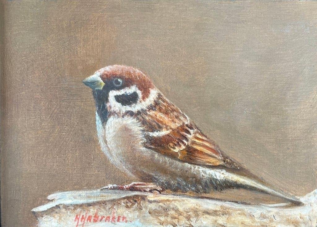 Schilderij van een mus. Hans Habraken., Ingelijst, Paneel, Realistisch, Dieren