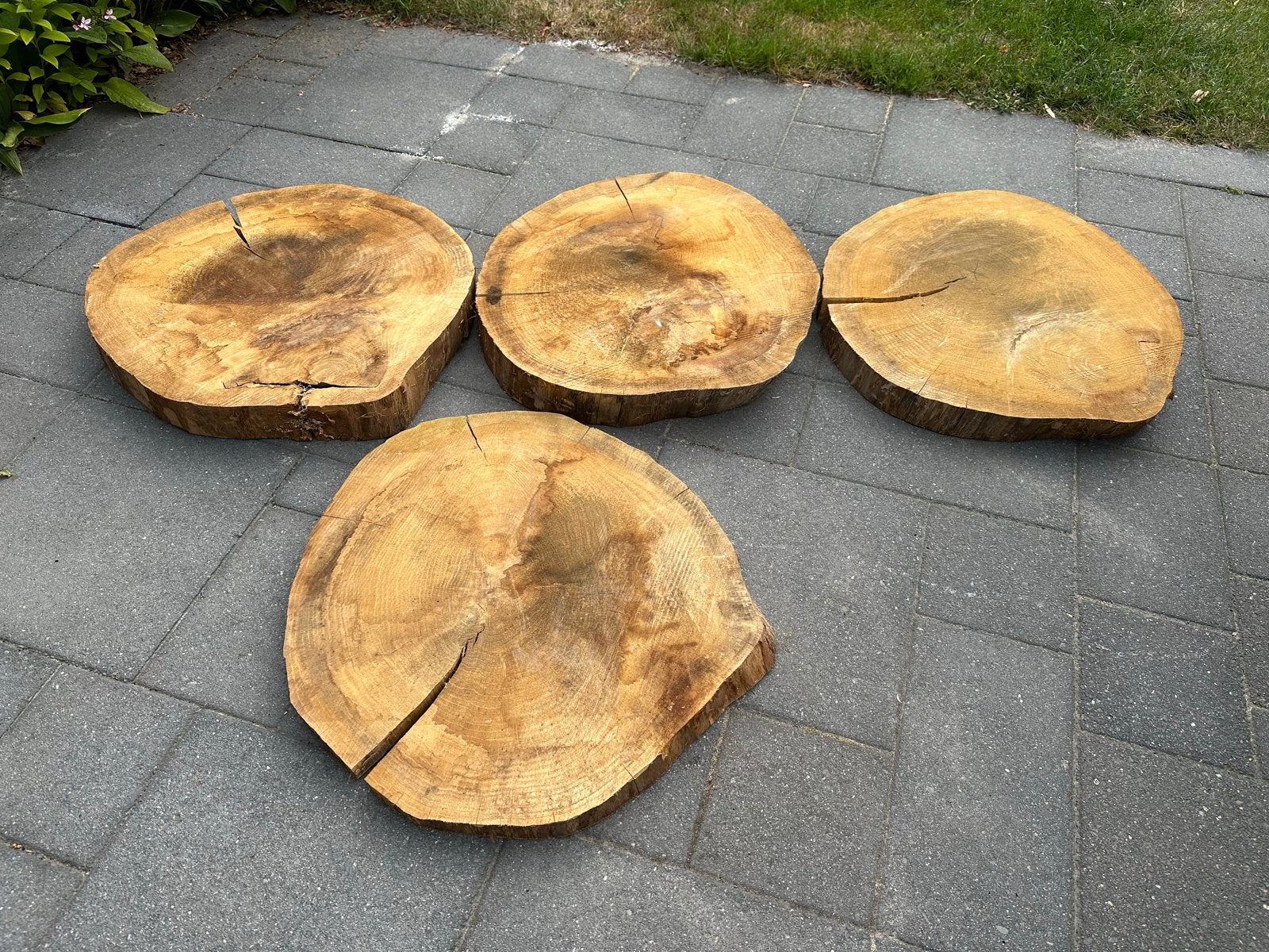 Eiken houten schijven voor tafels of decoratie, Ophalen of Verzenden, Gebruikt