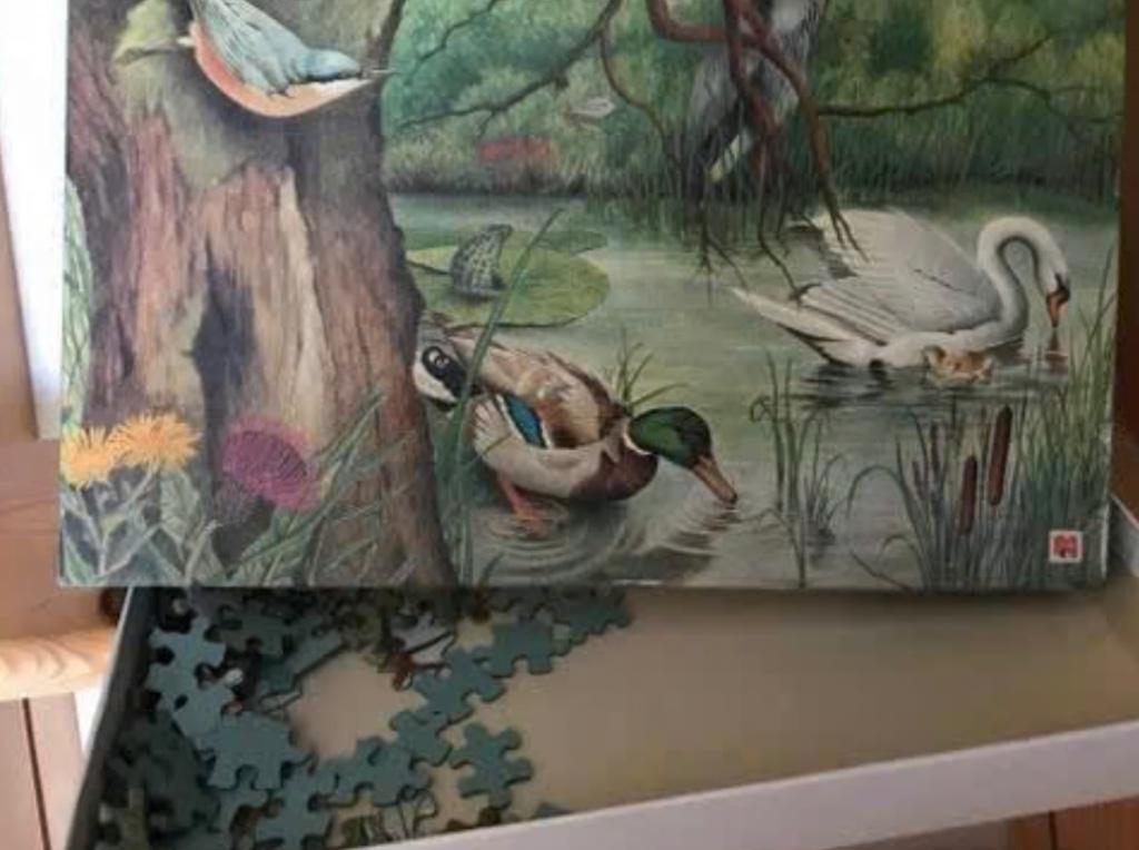 puzzel met eendjes, Ophalen, Meer dan 50 stukjes, Gebruikt