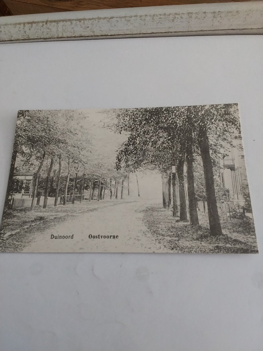 Ansichtkaart Duinoord Oostvoorne, Ophalen of Verzenden, Voor 1920, Ongelopen, Zuid-Holland