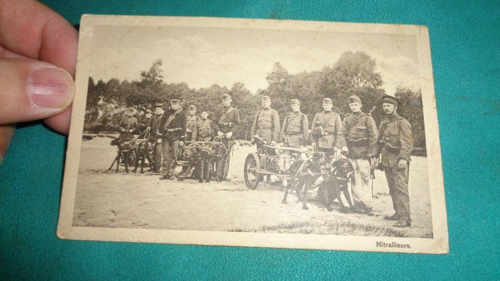 Leger hondentrekkar mitrailleur Schwarzlose M.08, Verzenden, Landmacht, Nederland, Overige typen