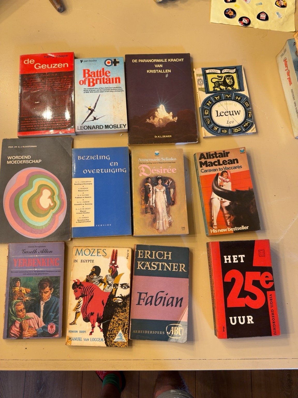 12 leesboeken: diverse auteurs en genres in één koop!, Boeken, Ophalen, Gelezen