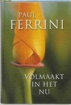 Paul Ferrini Volmaakt in het Nu, Ophalen of Verzenden, Nieuw, Spiritualiteit algemeen, Achtergrond en Informatie