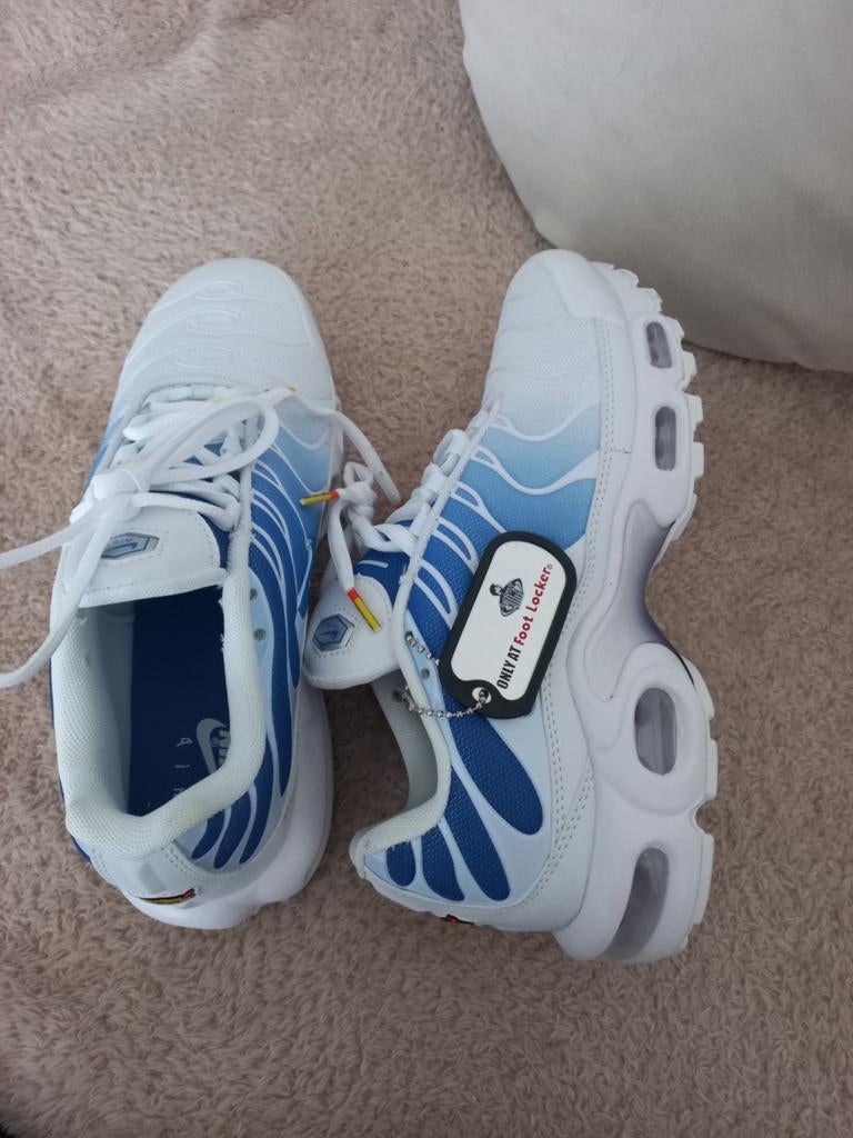 Nike Air Max Plus TN - Wit/Blauw, Kleding | Dames, Schoenen, Wit, Nike, Nieuw, Ophalen of Verzenden