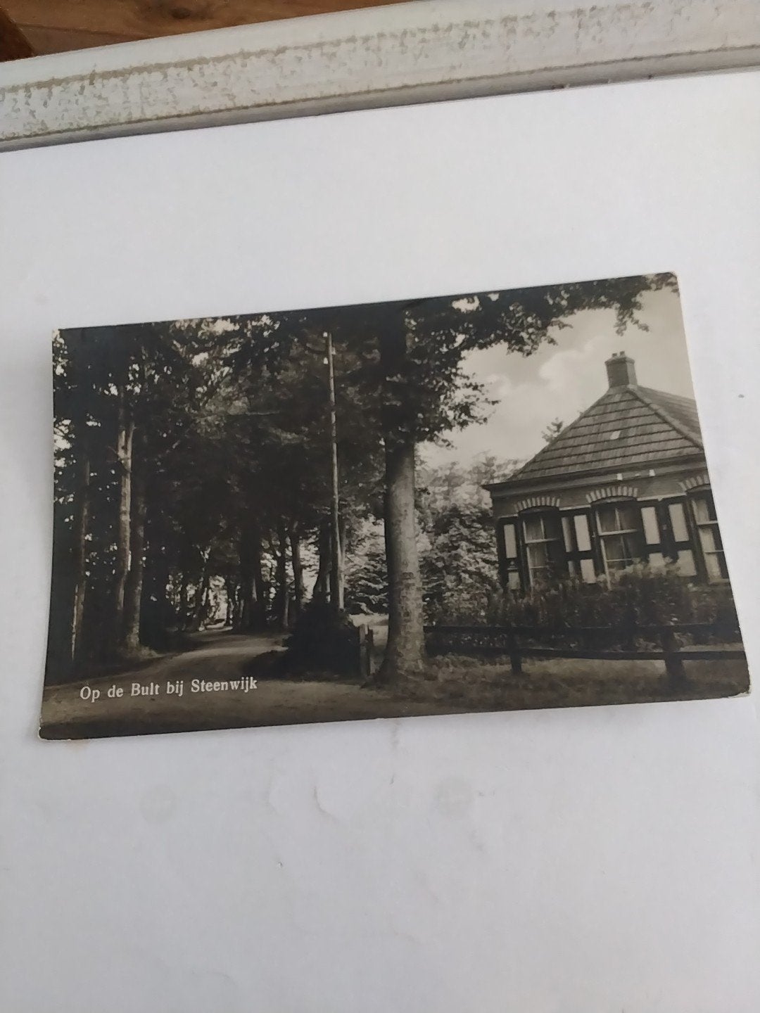 Oude Ansichtkaart Steenwijk - Op de Bult, Ophalen of Verzenden, Voor 1920, Overijssel