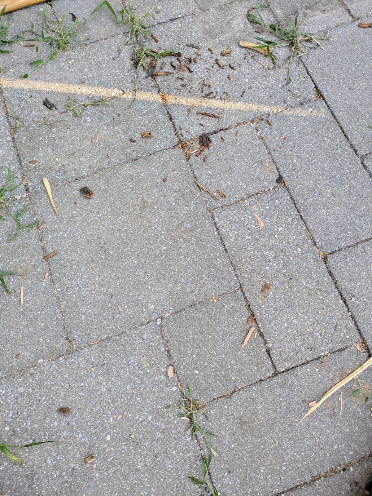 Gratis betontegels 40x40x5,5 ( 20 - 22 m2), Tuin en Terras, Ophalen, Gebruikt, 10 m² of meer, Beton
