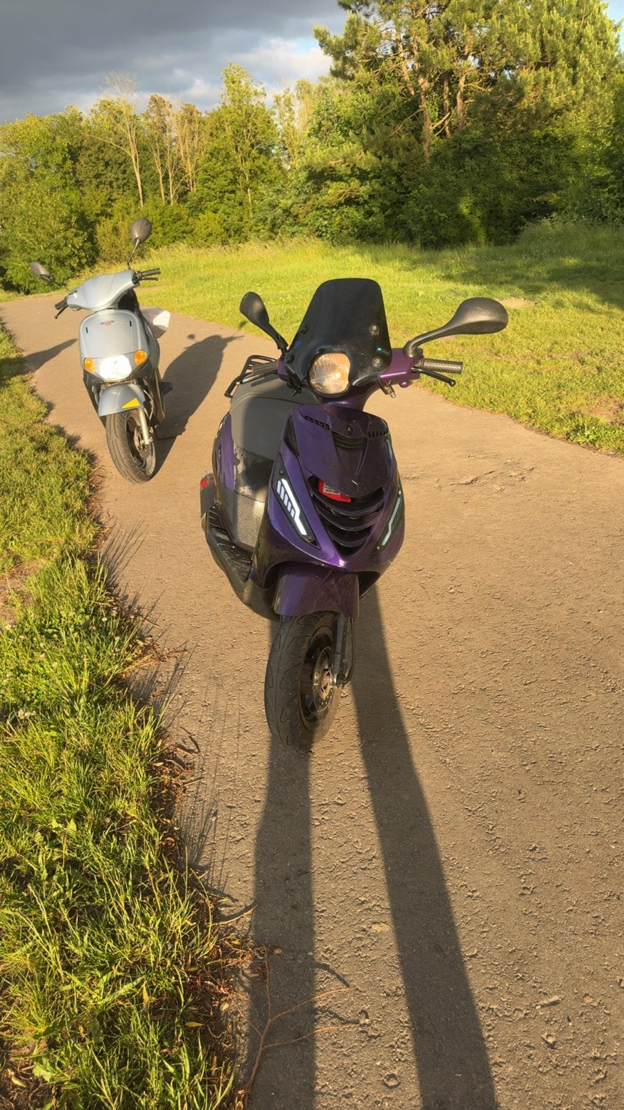 Piaggio Zip 2019 4t3v Brom, Ophalen, Gebruikt, Maximaal 45 km/u